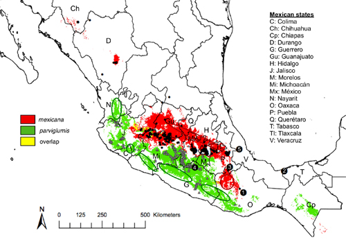 carte du mexique avec emplacement des sites de téosinte