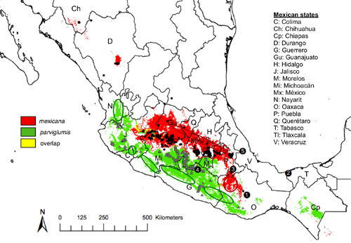 teosinte map