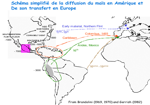 Schéma de la diffusion du maïs en Amérique et de son transfert en Europe
