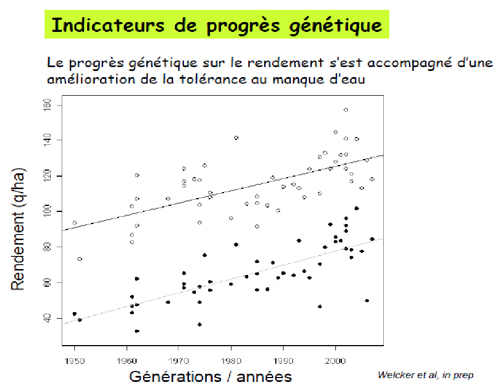 Graphique montrant l'évolution de la tolérance à la sécheresse du maïs